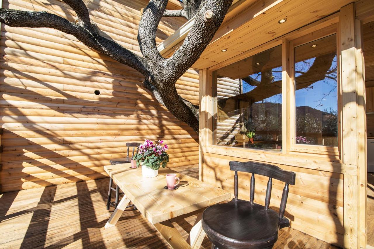Romantic Tree House Káto Pavliána Kültér fotó