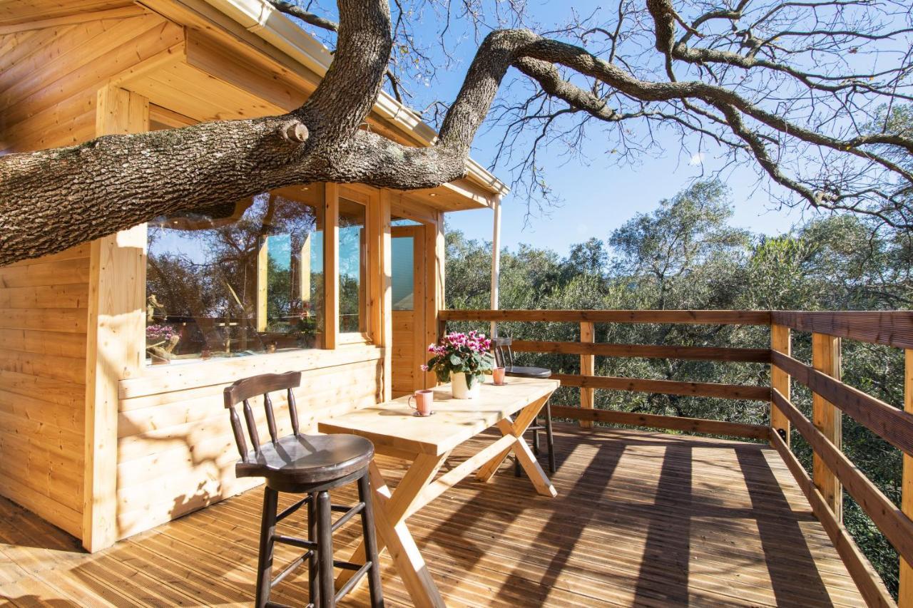 Romantic Tree House Káto Pavliána Kültér fotó