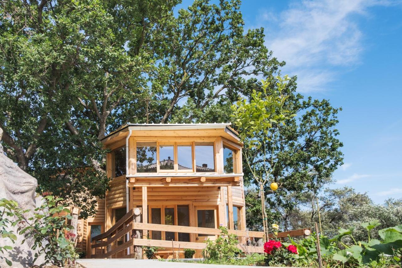 Romantic Tree House Káto Pavliána Kültér fotó
