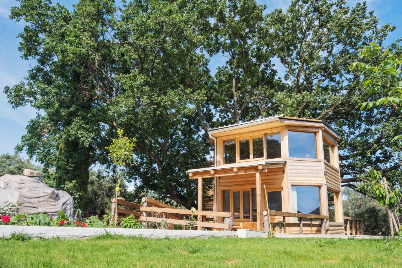 Romantic Tree House Káto Pavliána Kültér fotó